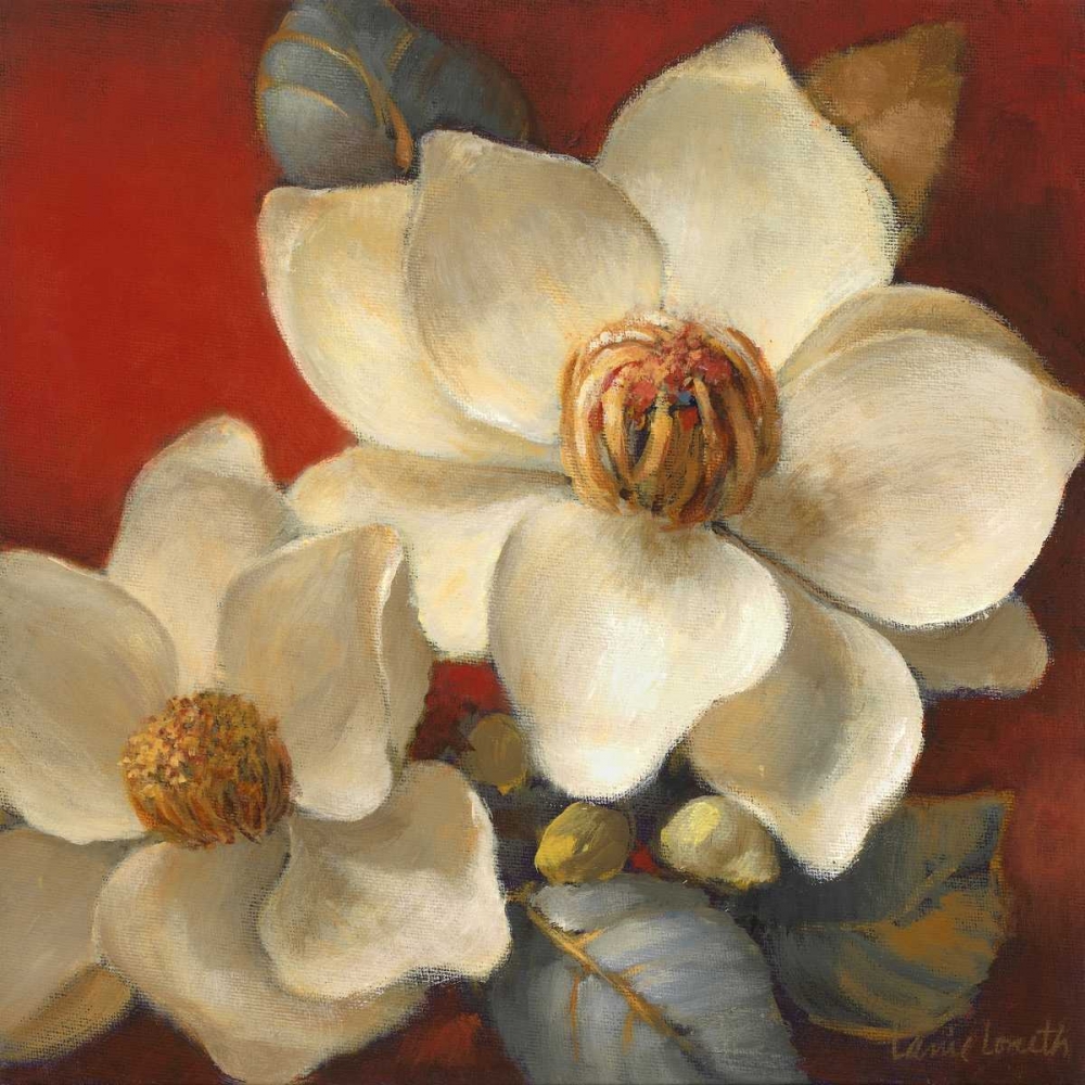Magnolia Passion II art print by Lanie Loreth for $57.95 CAD