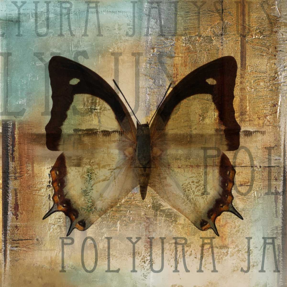 Polyurabutterfly I art print by Patricia Pinto for $57.95 CAD