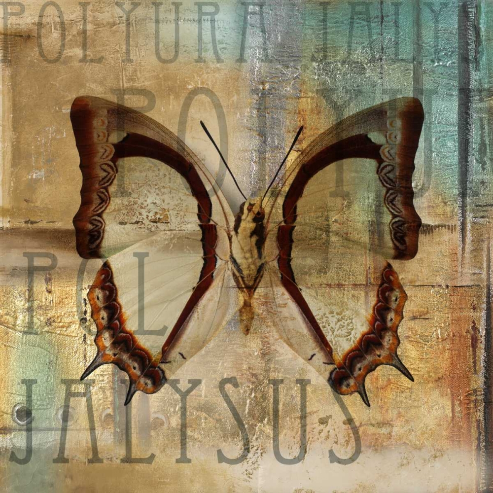 Polyurabutterfly II art print by Patricia Pinto for $57.95 CAD