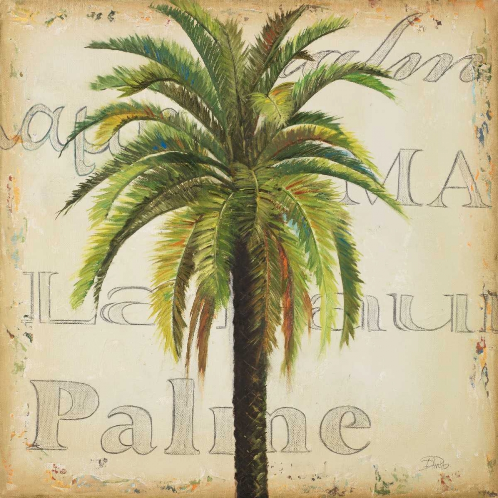 La Palma III art print by Patricia Pinto for $57.95 CAD