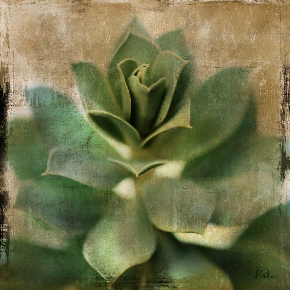 Succulent I art print by Patricia Pinto for $57.95 CAD