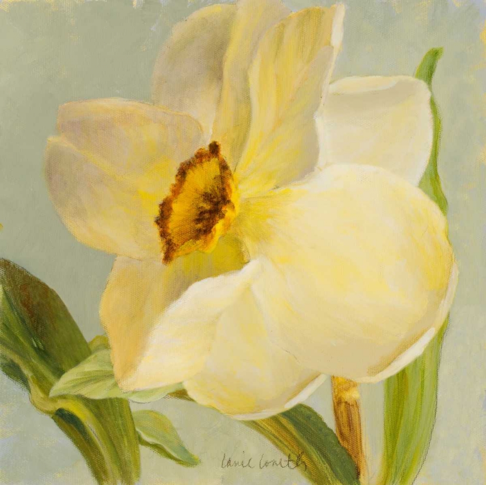 Daffodil Sky II art print by Lanie Loreth for $57.95 CAD