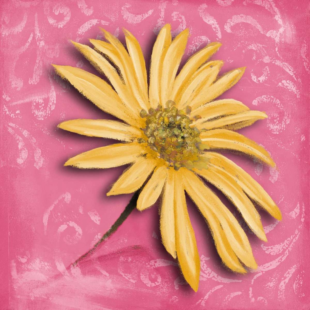 Blooming Daisy II art print by Patricia Pinto for $57.95 CAD