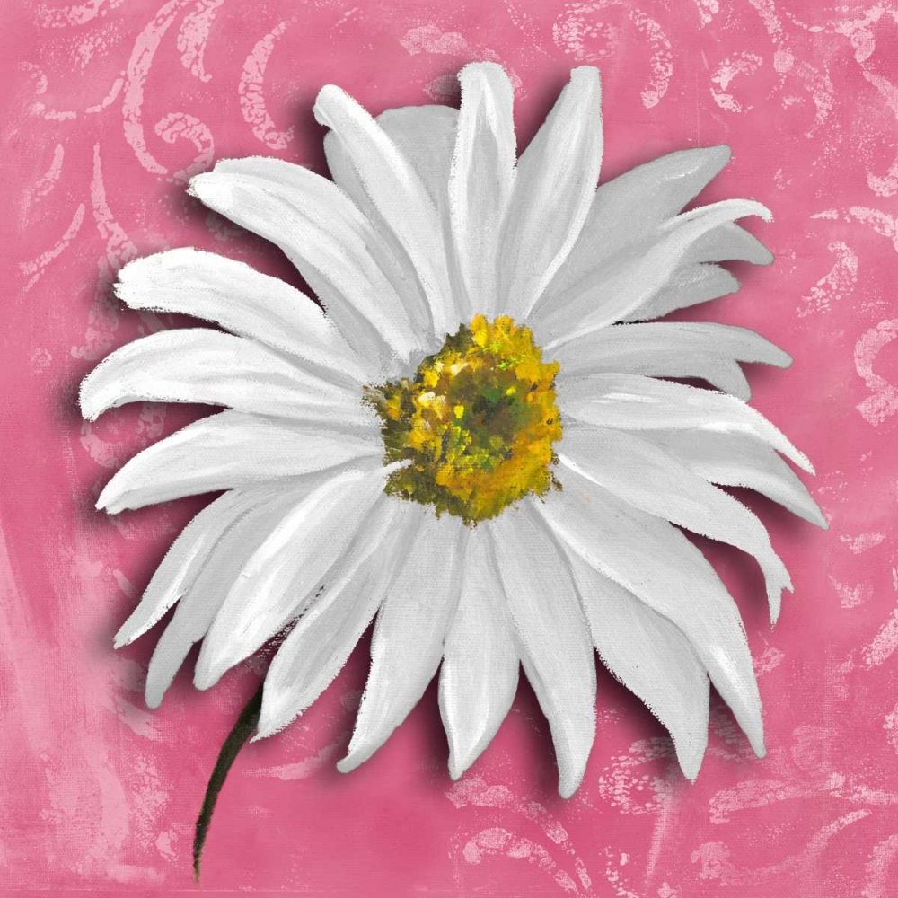 Blooming Daisy III art print by Patricia Pinto for $57.95 CAD