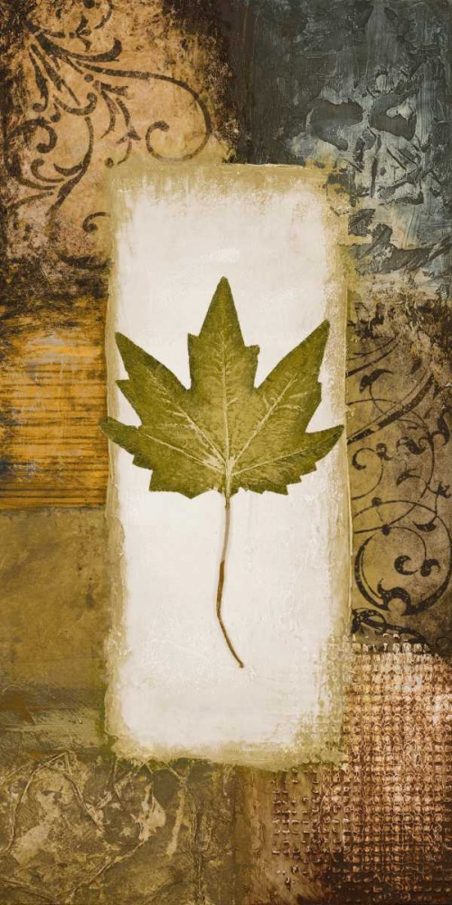Single Leaf II art print by Michael Marcon for $57.95 CAD
