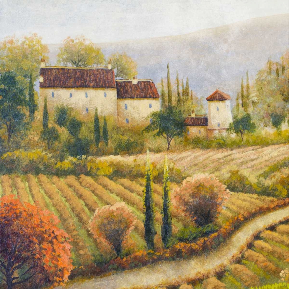 Tuscany Vineyard I art print by Michael Marcon for $57.95 CAD