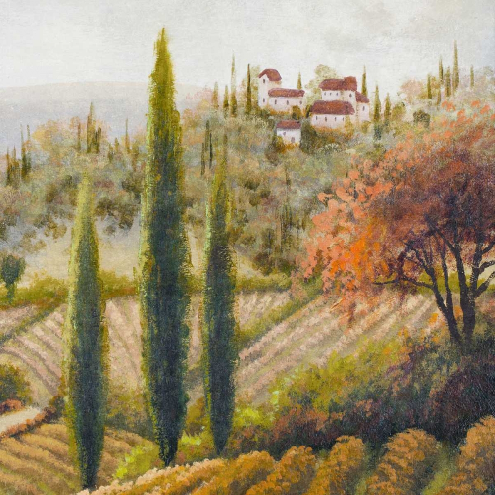 Tuscany Vineyard II art print by Michael Marcon for $57.95 CAD