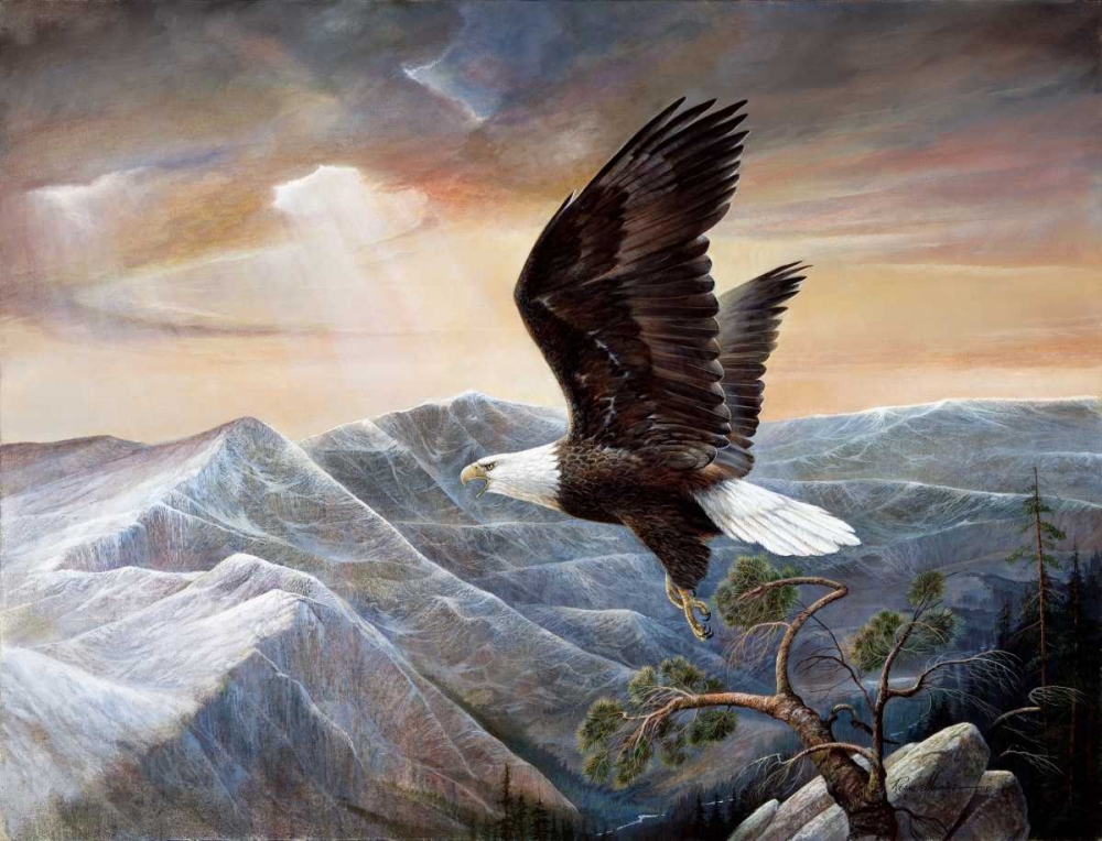 Eagles Lair art print by Ruane Manning for $57.95 CAD