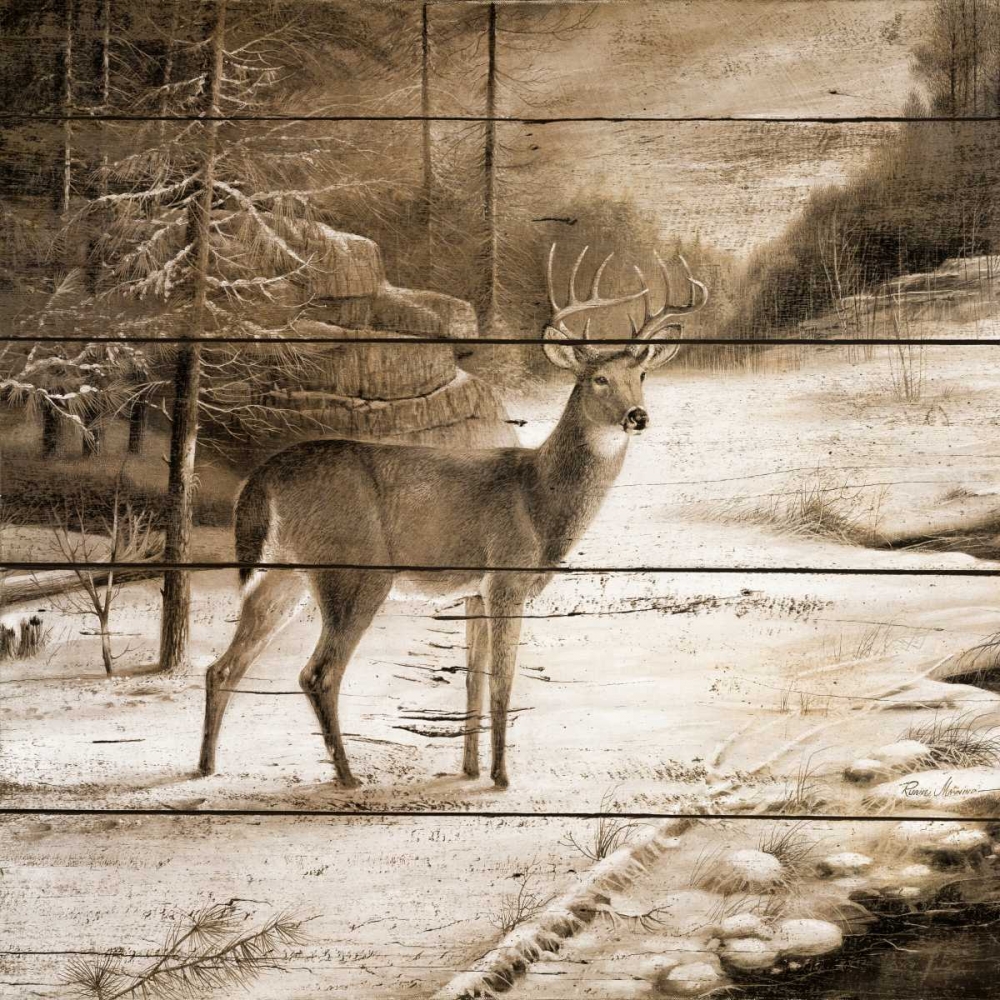 Shadows of the Forest art print by Ruane Manning for $57.95 CAD