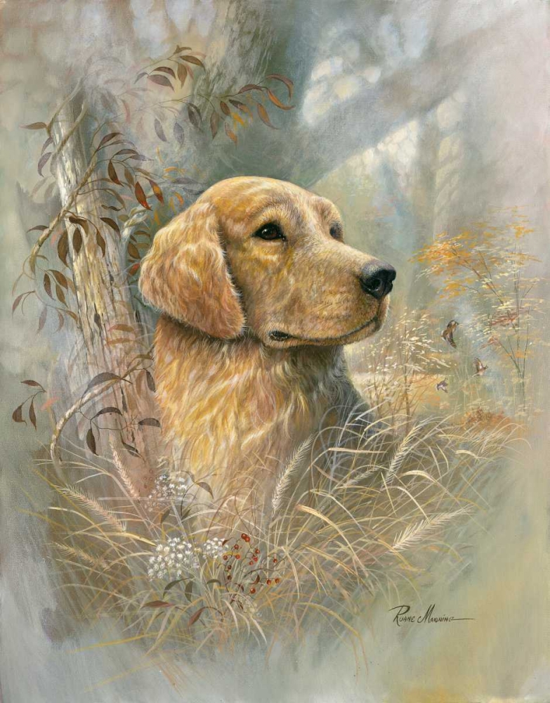 Golden Beauty art print by Ruane Manning for $57.95 CAD