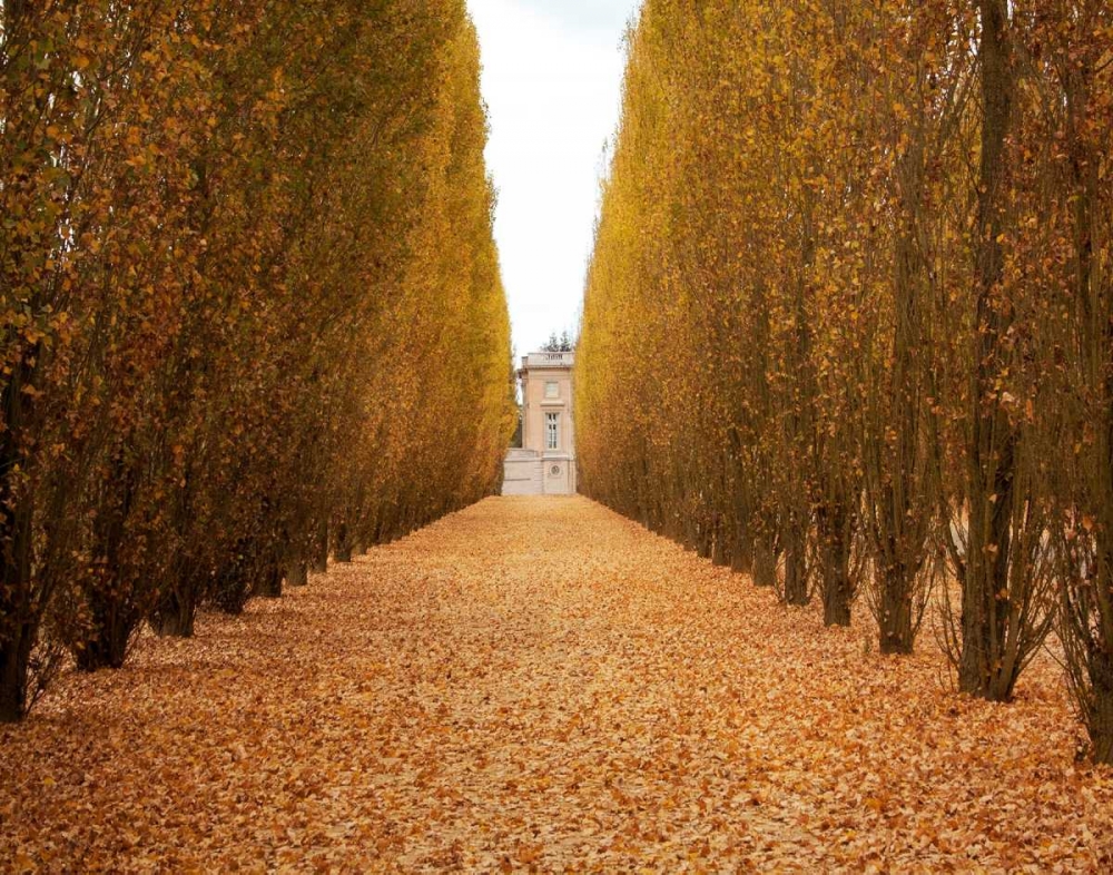 Versailles in Fall II art print by Emily Navas for $57.95 CAD