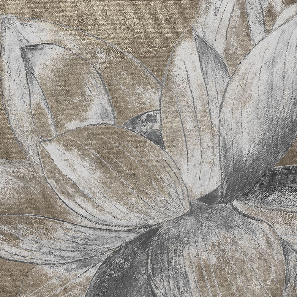 Soft Lotus art print by Patricia Pinto for $57.95 CAD