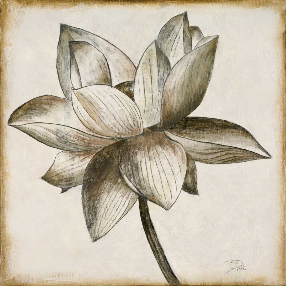 Sepia Lotus I art print by Patricia Pinto for $57.95 CAD