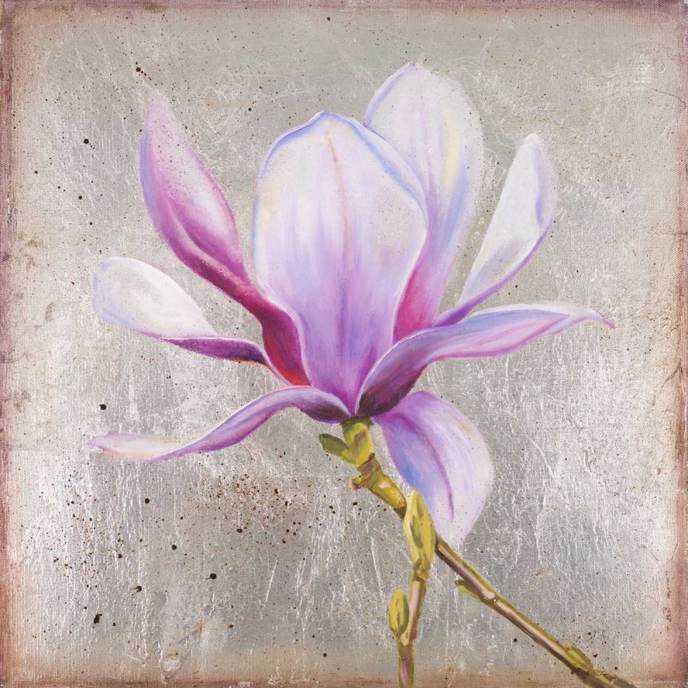 Magnolia on Silver Leaf II art print by Patricia Pinto for $57.95 CAD