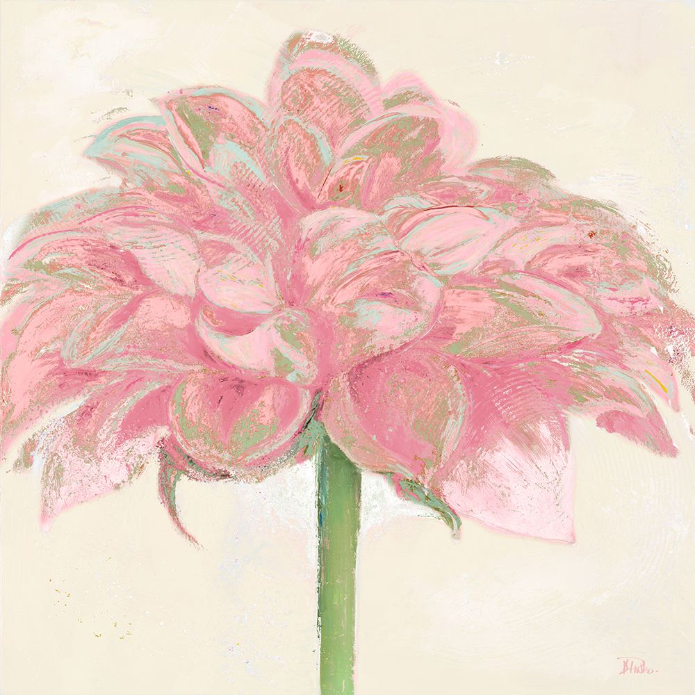 Pink Dahlia art print by Patricia Pinto for $57.95 CAD