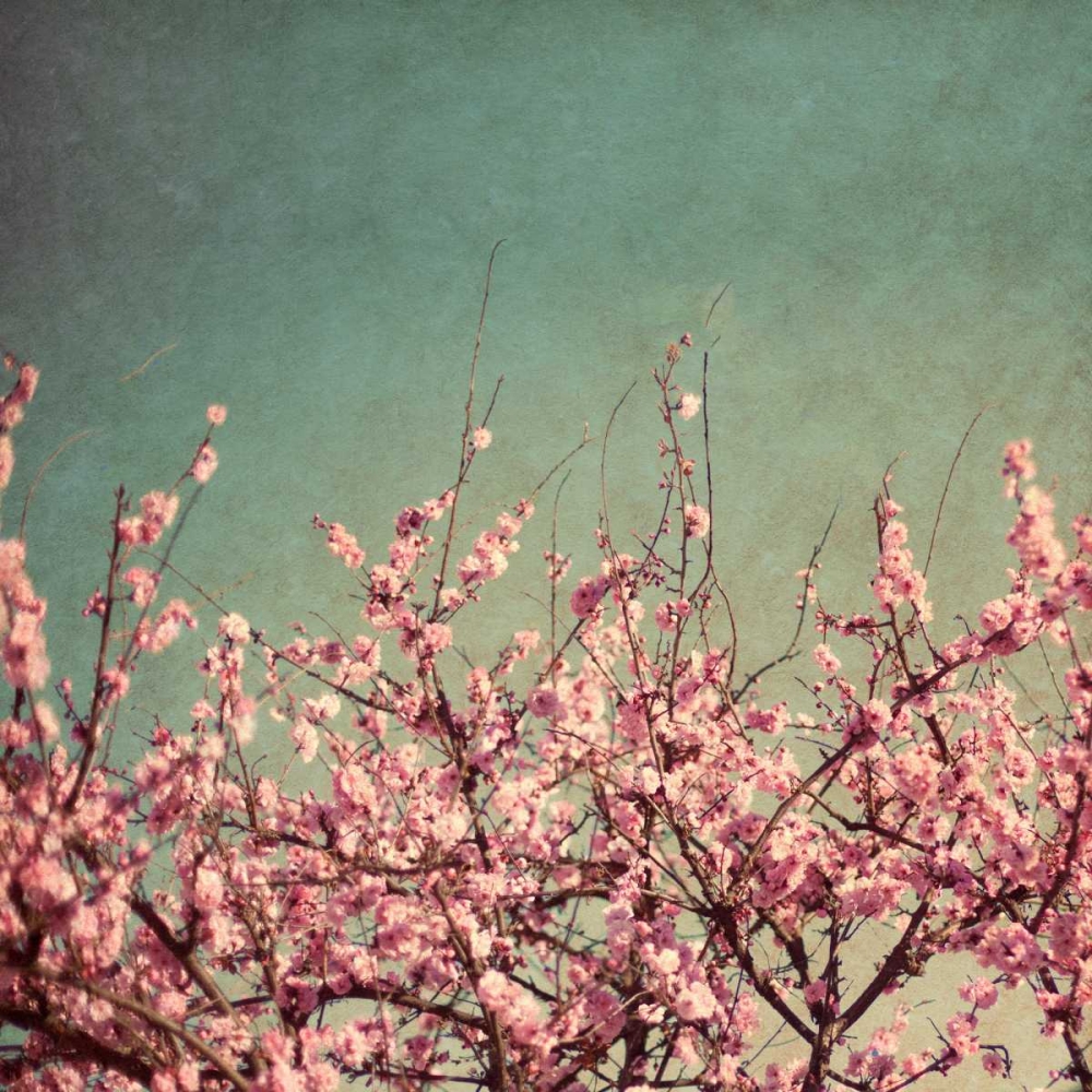 Springtime II art print by Susan Bryant for $57.95 CAD