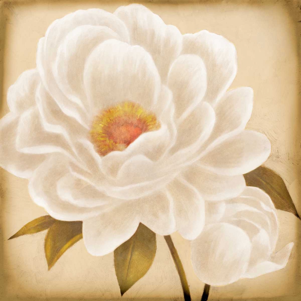 White Peonies I art print by Vivien Rhyan for $57.95 CAD
