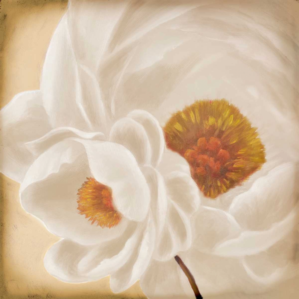 White Peonies II art print by Vivien Rhyan for $57.95 CAD