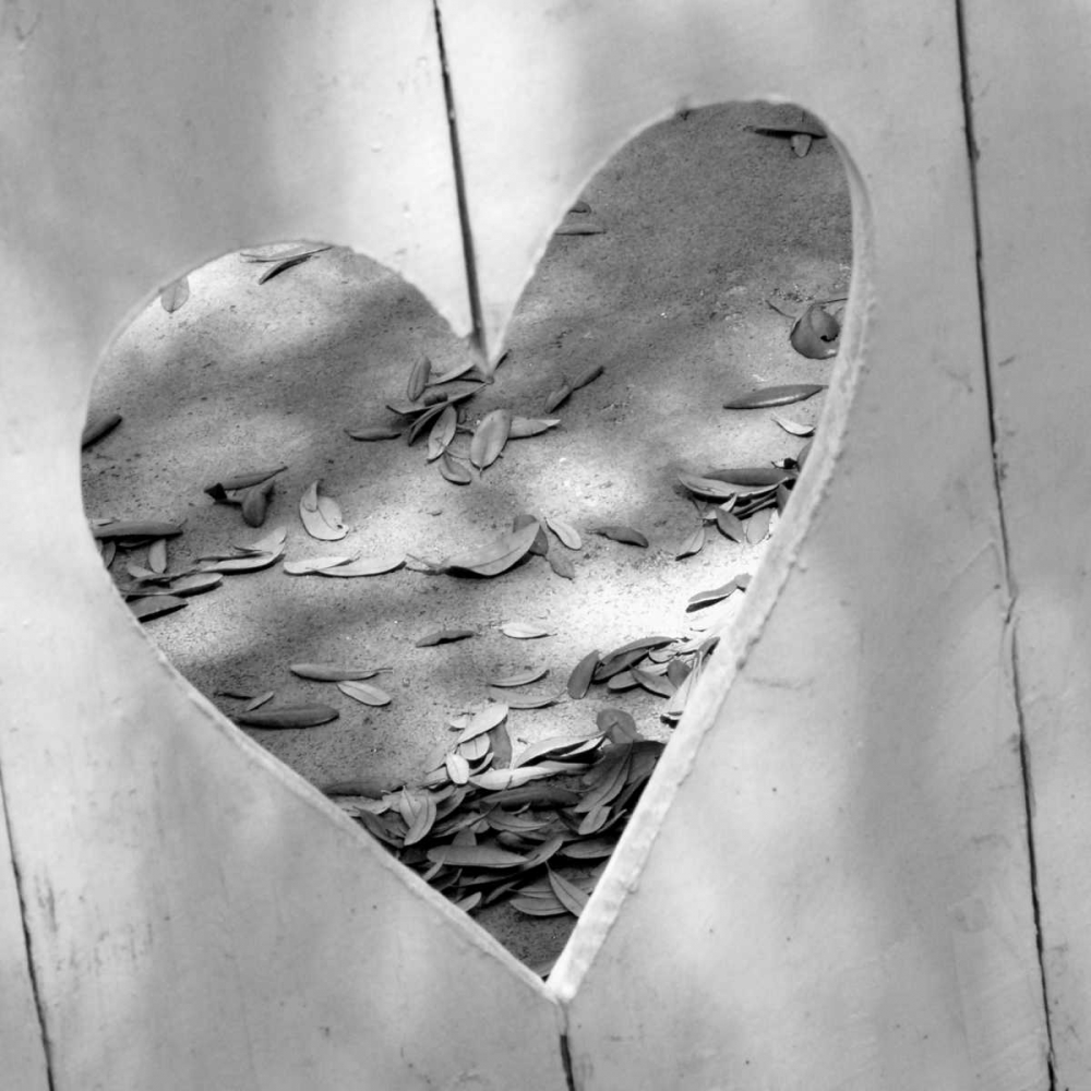 B-W Heart Full of Love art print by Gail Peck for $57.95 CAD