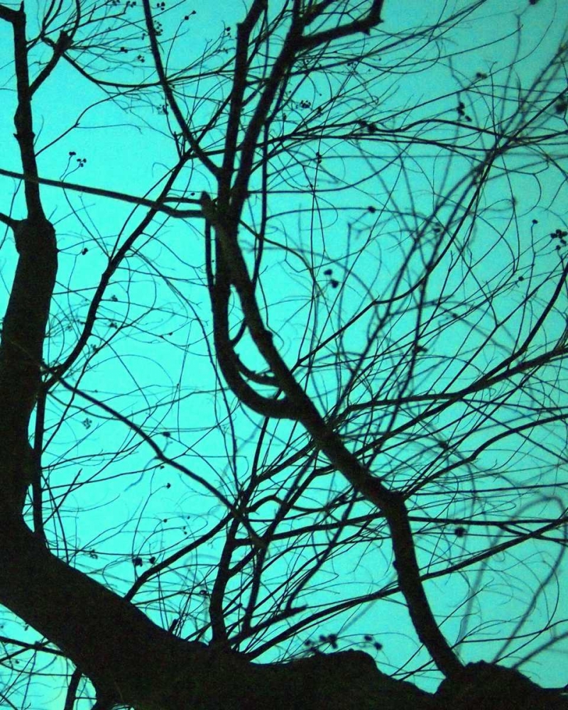 Branches on Teal II art print by Gail Peck for $57.95 CAD