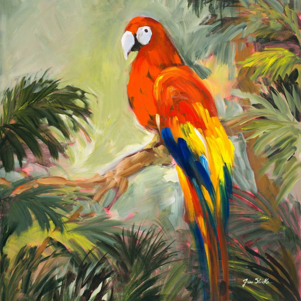Parrots at Bay I art print by Jane Slivka for $57.95 CAD
