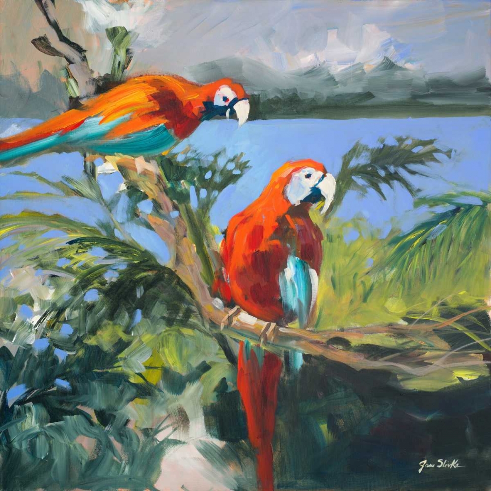 Parrots at Bay II art print by Jane Slivka for $57.95 CAD