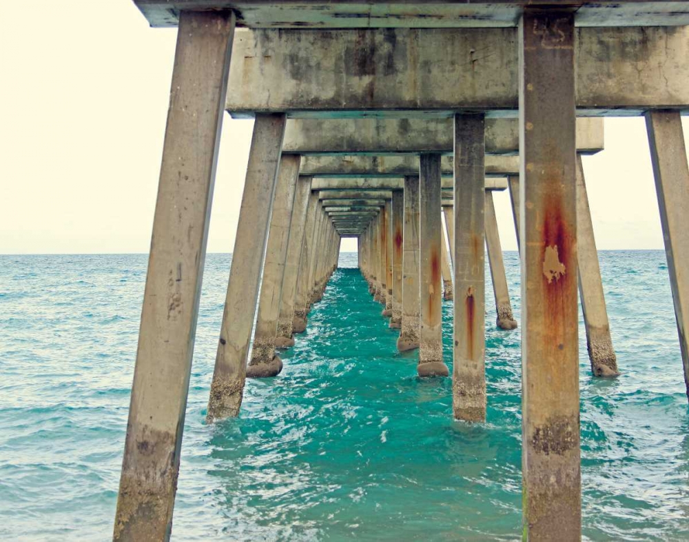 Juno Pier art print by Lisa Hill Saghini for $57.95 CAD