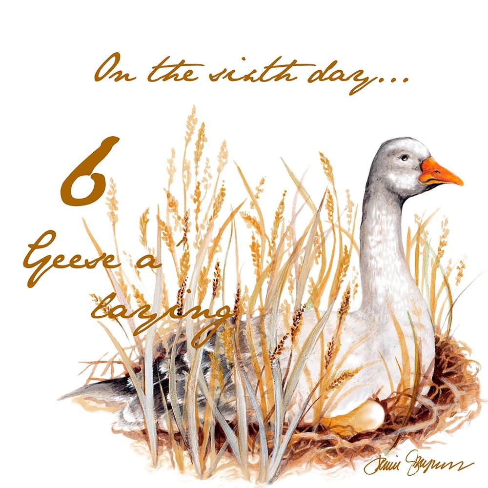 Six Geese a-Laying art print by Janice Gaynor for $57.95 CAD