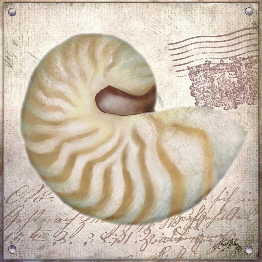 Beach Shell III art print by Elizabeth Medley for $57.95 CAD