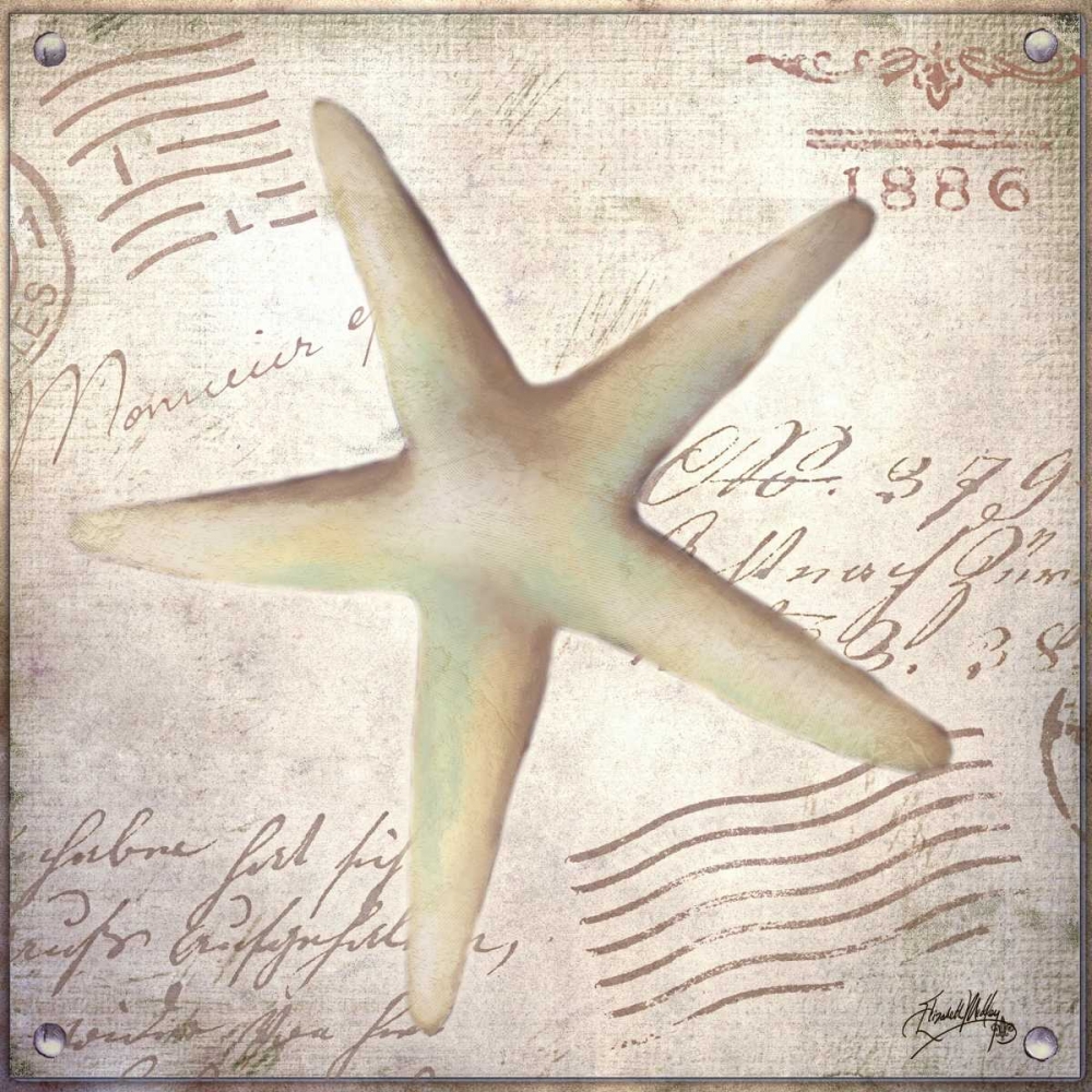 Beach Shell IV art print by Elizabeth Medley for $57.95 CAD