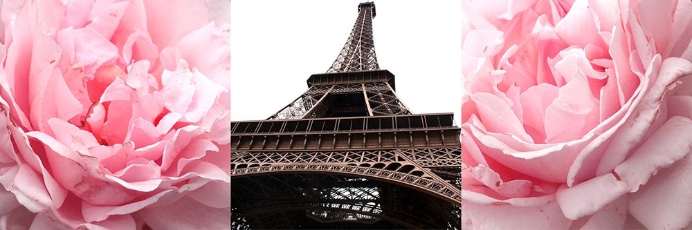 Pink Roses Eiffel Tower art print by Emily Navas for $57.95 CAD