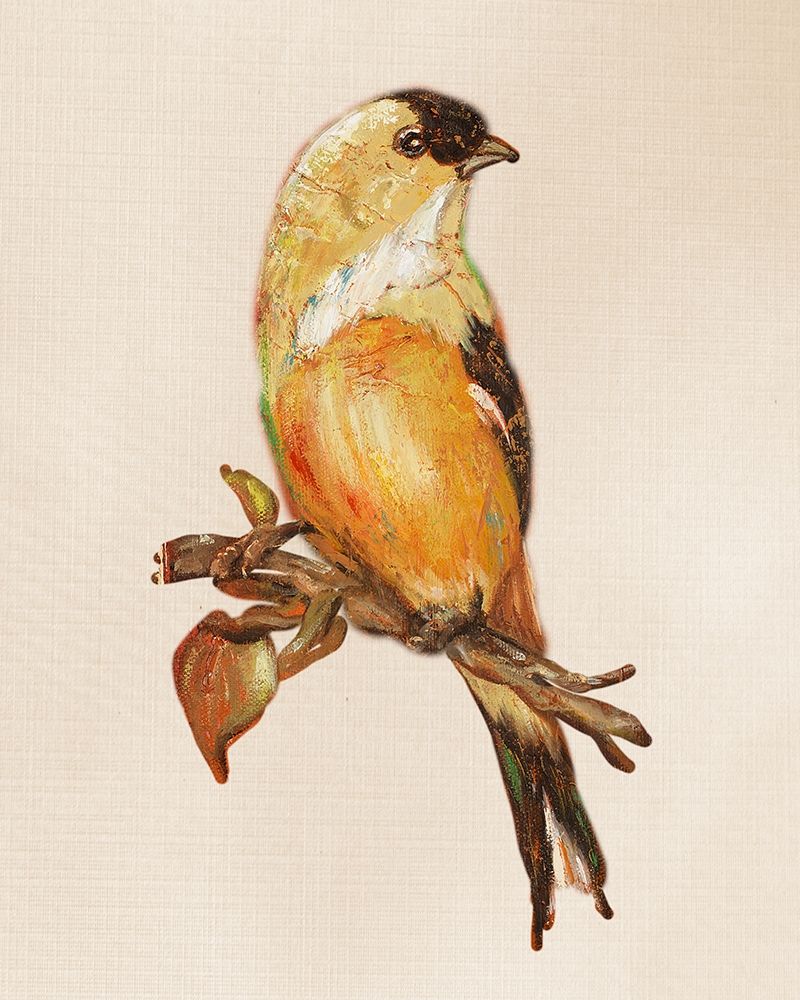 Bird on Perch III art print by Patricia Pinto for $57.95 CAD
