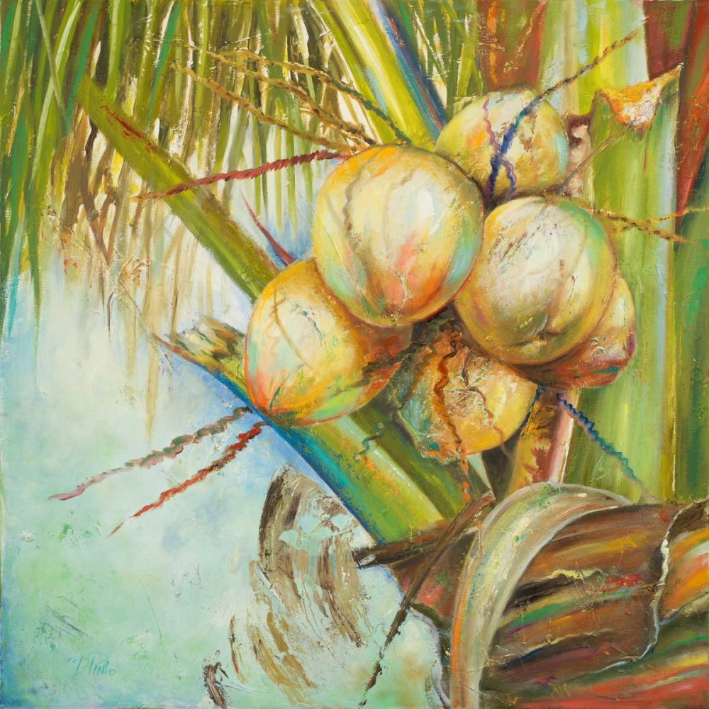 Patricias Coconuts II art print by Patricia Pinto for $57.95 CAD