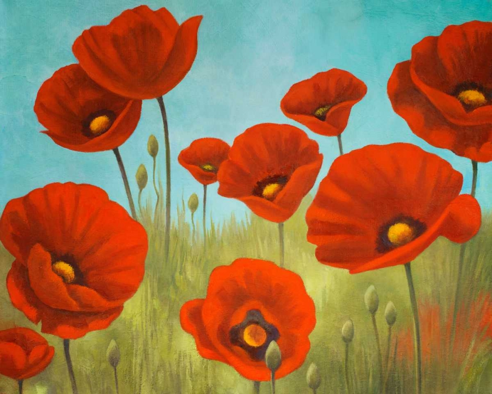 Field of Poppies II art print by Vivien Rhyan for $57.95 CAD