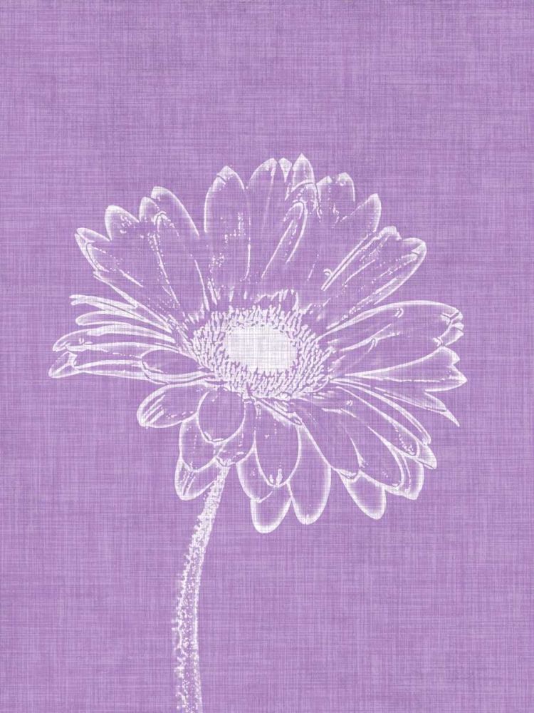 Purple Daisies I art print by Gail Peck for $57.95 CAD