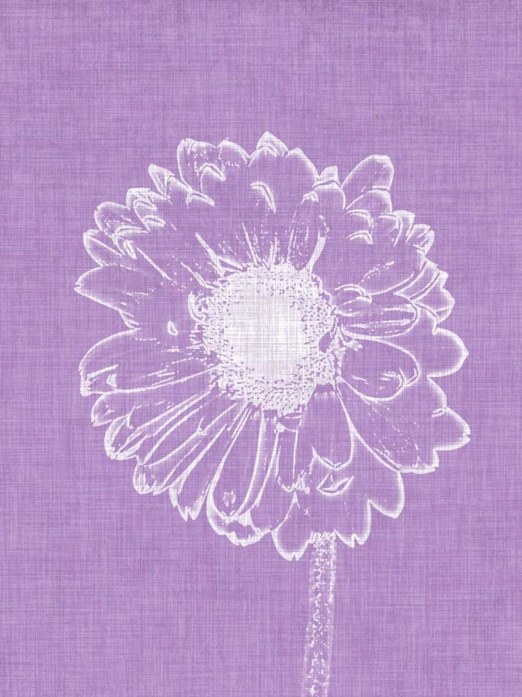 Purple Daisies II art print by Gail Peck for $57.95 CAD
