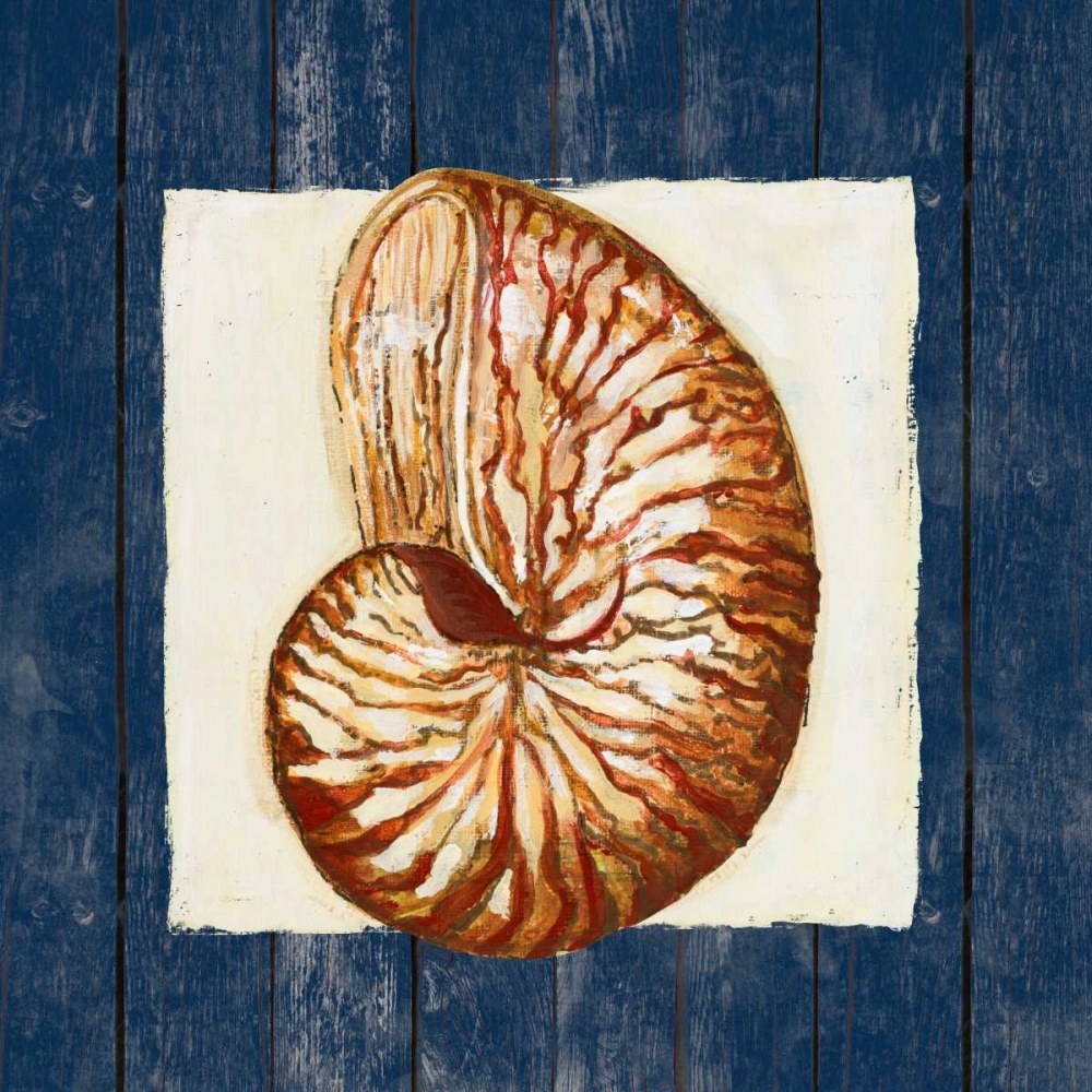 Nautical Shell art print by Gina Ritter for $57.95 CAD