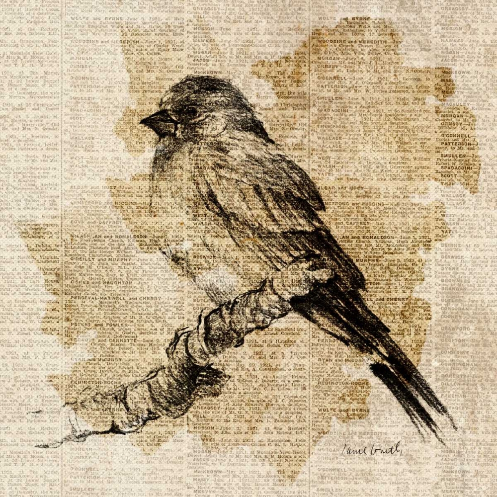 Bird Study I art print by Lanie Loreth for $57.95 CAD