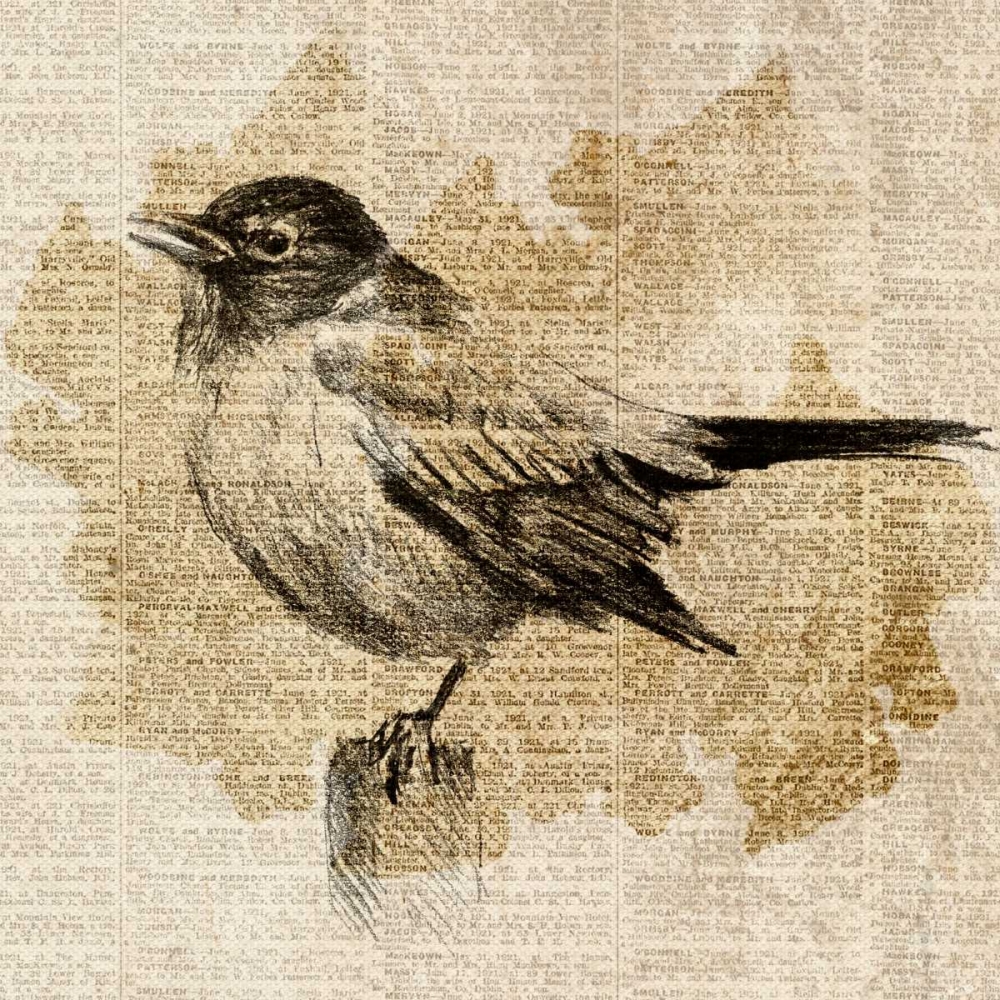 Bird Study II art print by Lanie Loreth for $57.95 CAD