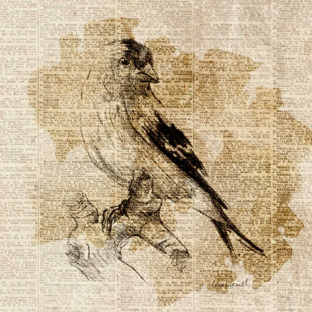 Bird Study III art print by Lanie Loreth for $57.95 CAD