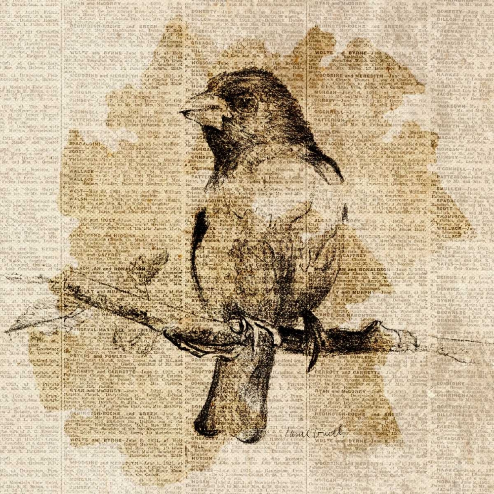 Bird Study IV art print by Lanie Loreth for $57.95 CAD