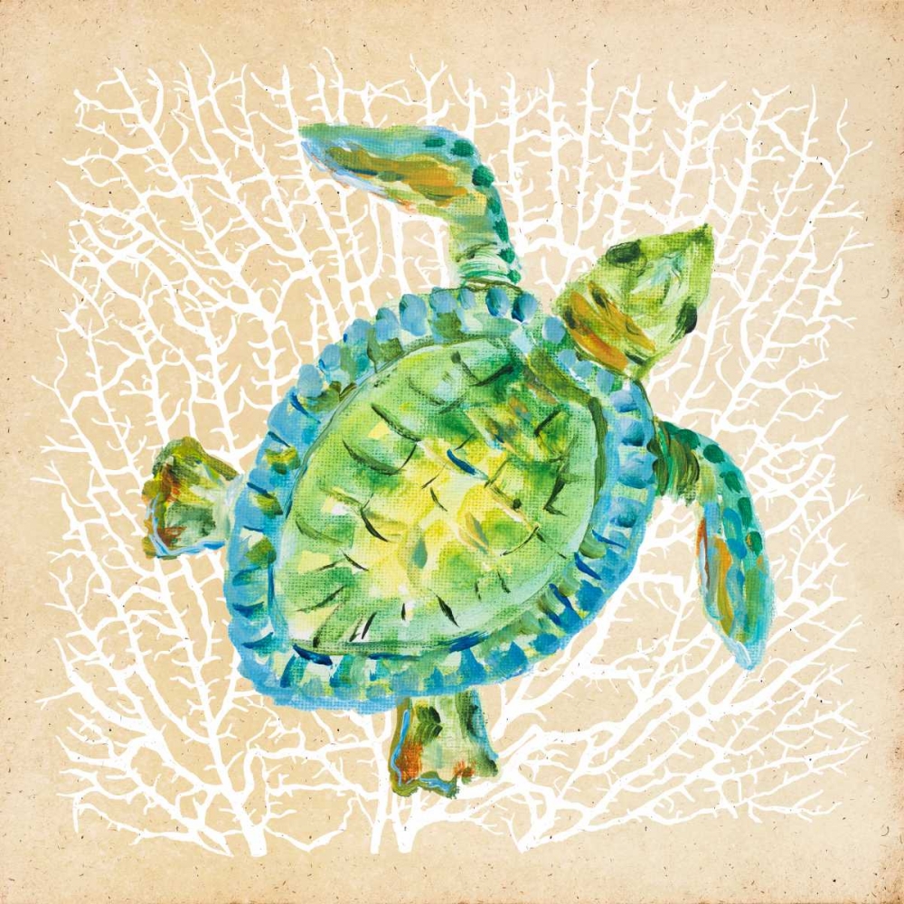 Sealife Turtle art print by Julie DeRice for $57.95 CAD