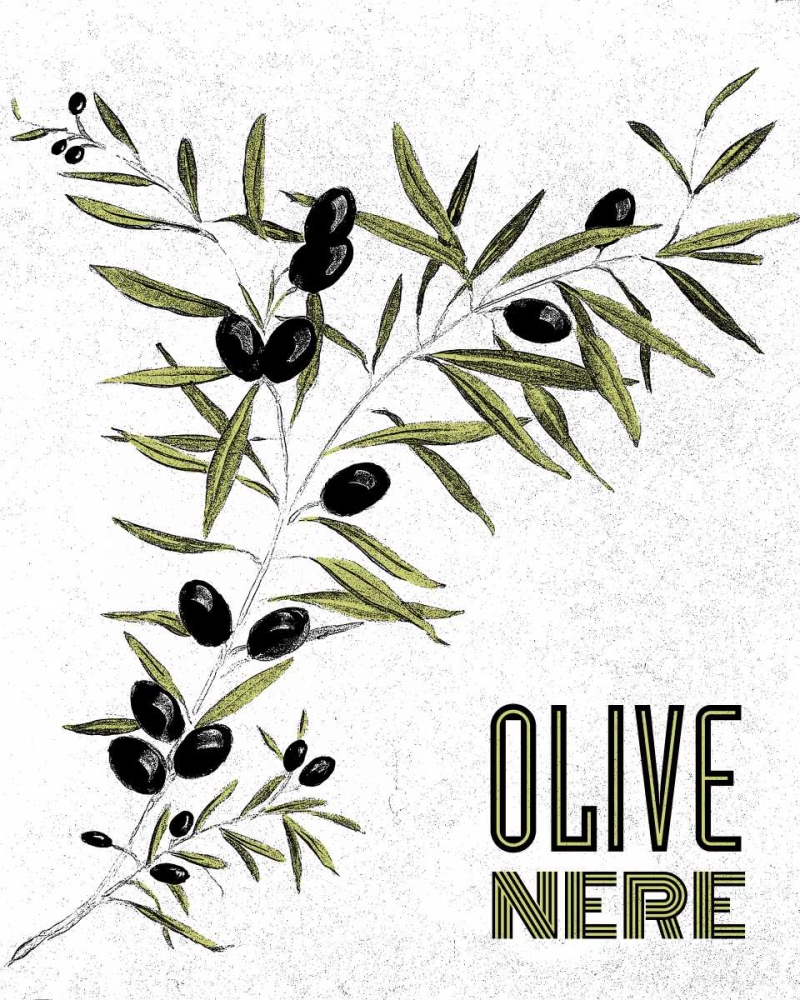 Olive Nere art print by Linda Baliko for $57.95 CAD