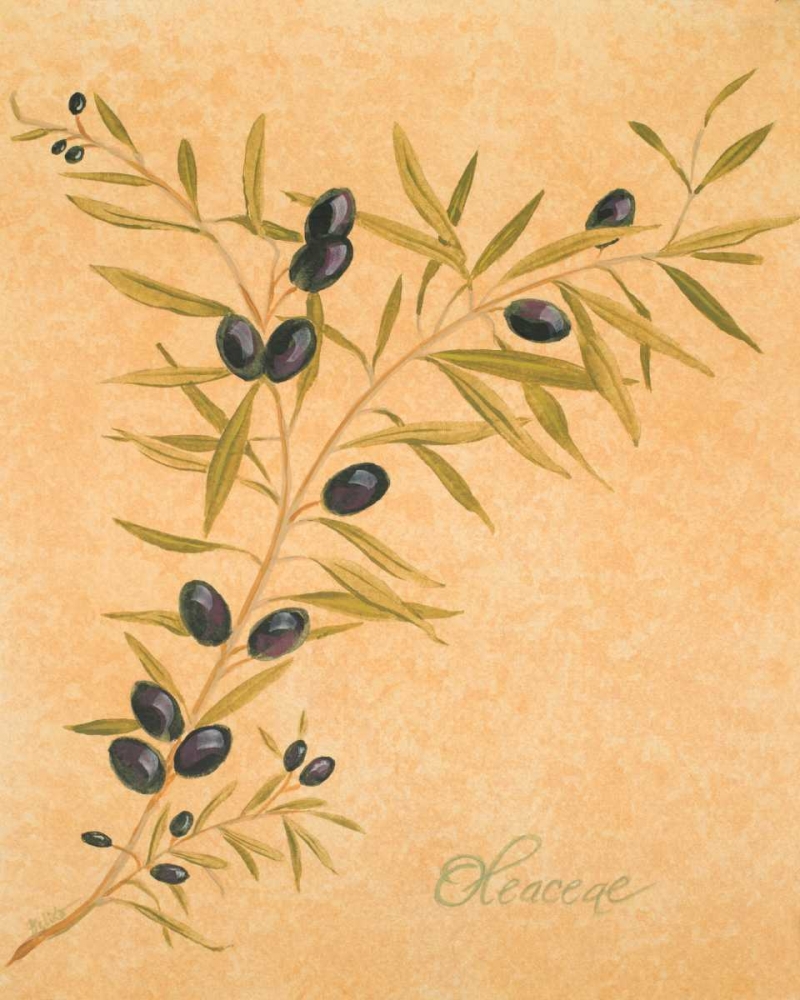 Oleaceae art print by Linda Baliko for $57.95 CAD