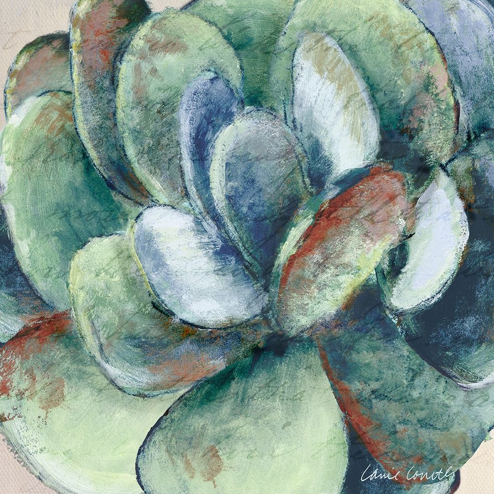 Wonderful Succulent art print by Lanie Loreth for $57.95 CAD