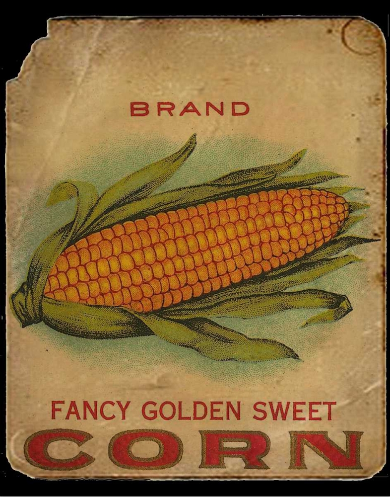 Vintage Corn art print by Beth Albert for $57.95 CAD