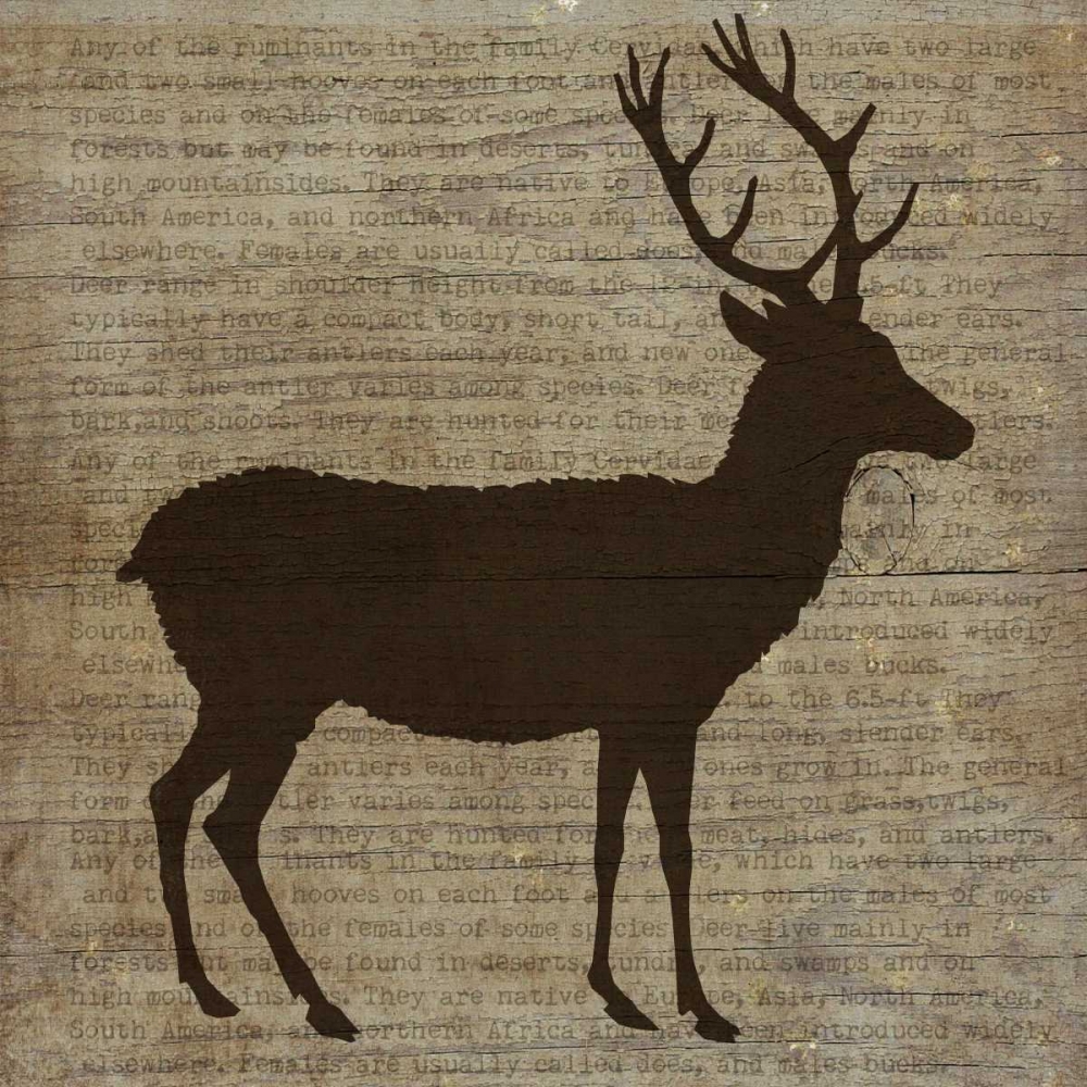 Deer art print by Beth Albert for $57.95 CAD