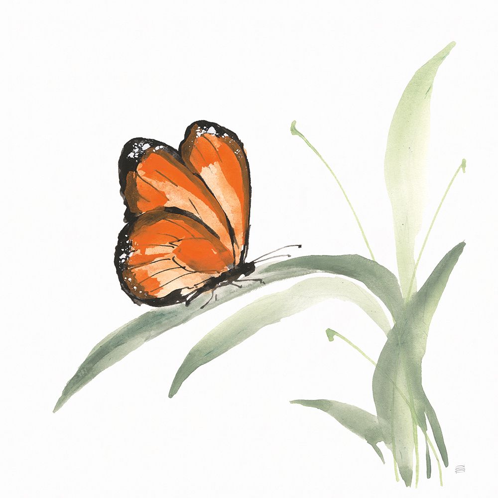 Butterfly Orange II art print by Chris Paschke for $57.95 CAD