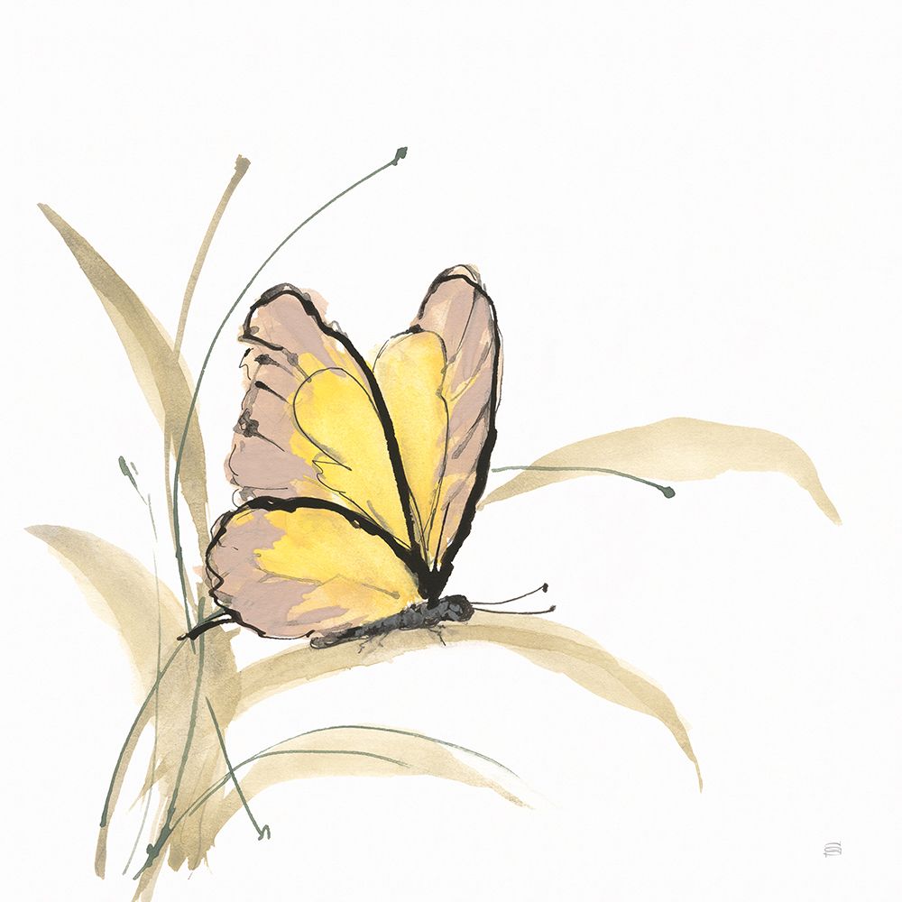 Butterfly Yellow I art print by Chris Paschke for $57.95 CAD