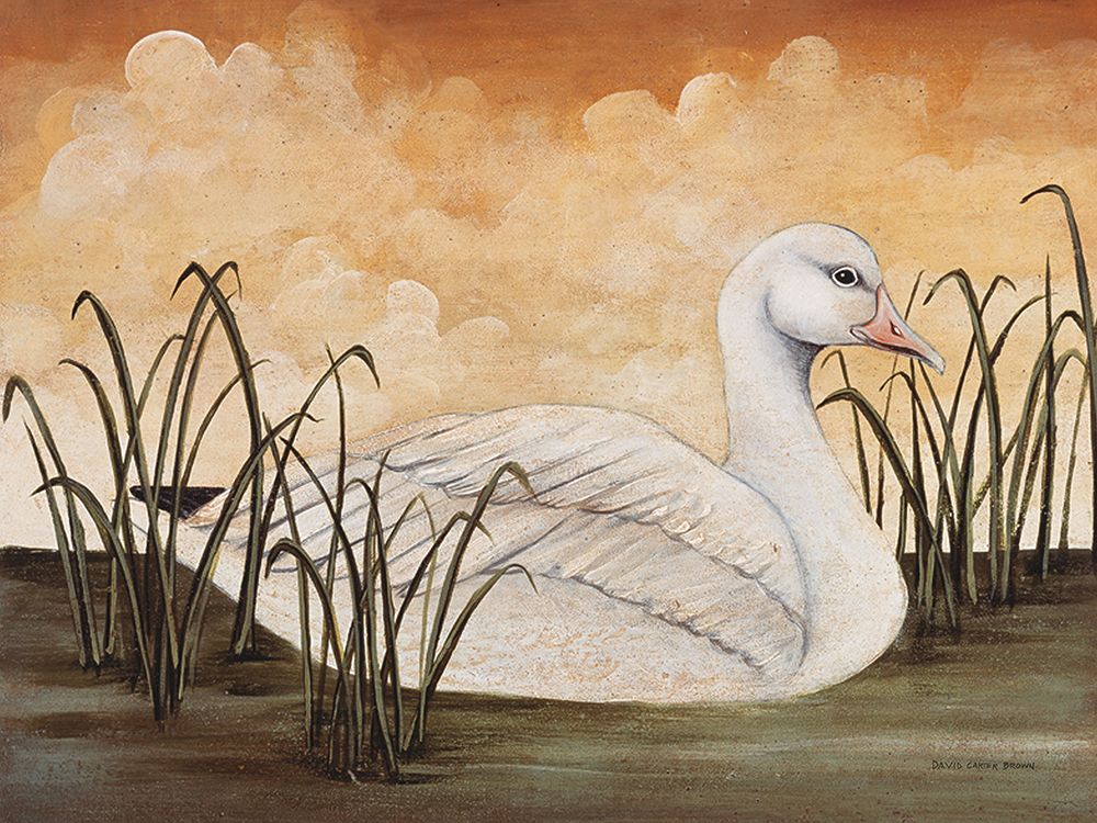 Snow Goose art print by David Carter Brown for $57.95 CAD